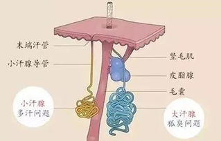 肉毒素可以达到什么样的功效